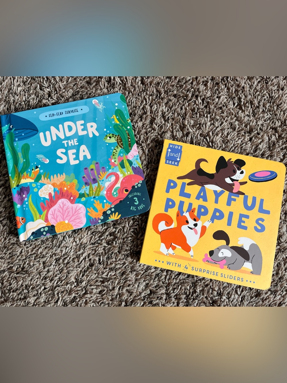 Design Eye Under the Sea & Playful Puppies Board Book Set
